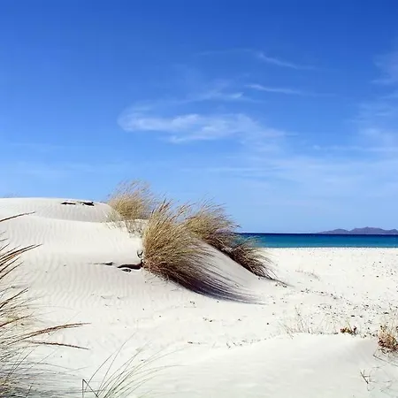 펜션 Casa Vacanze Con Giardino - Sud Sardegna *